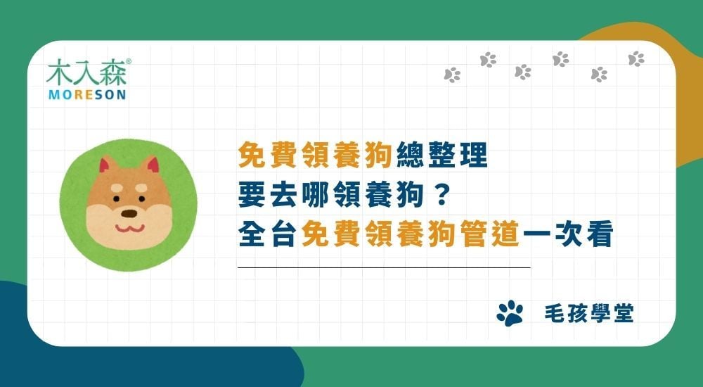 免費領養狗總整理｜要去哪領養狗？全台免費領養狗管道一次看