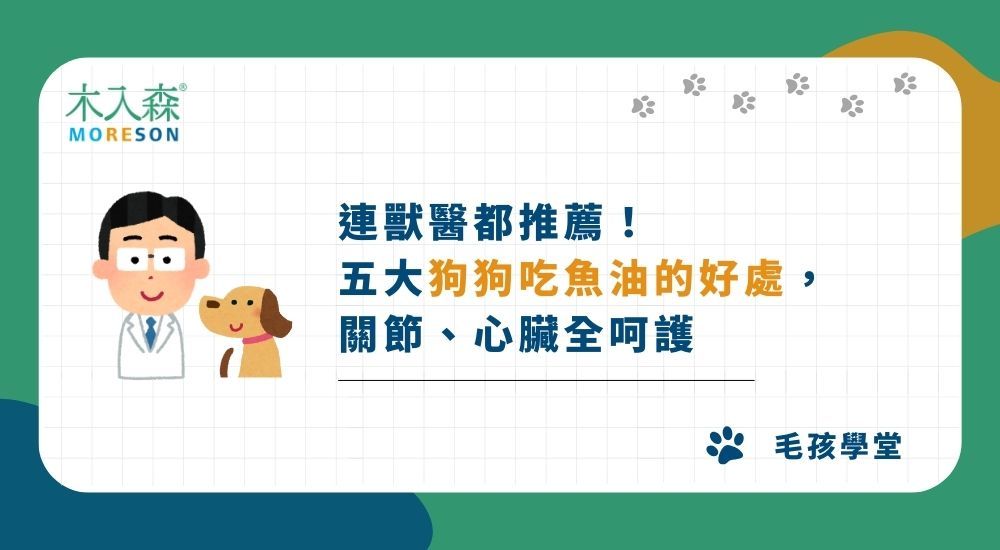 連獸醫都推薦！五大狗狗吃魚油的好處，關節、心臟全呵護