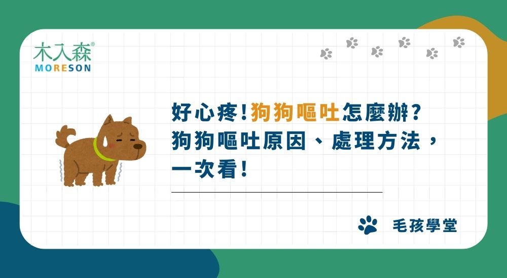 好心疼！狗狗嘔吐怎麼辦？ 狗狗嘔吐原因、處理方法一次看！