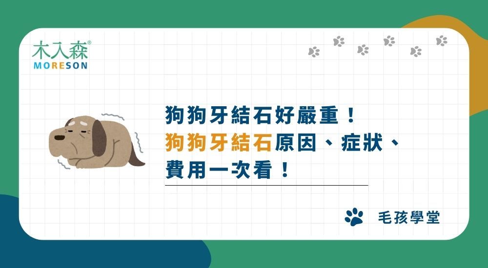狗狗牙結石好嚴重！狗狗牙結石原因、症狀、費用一次看！