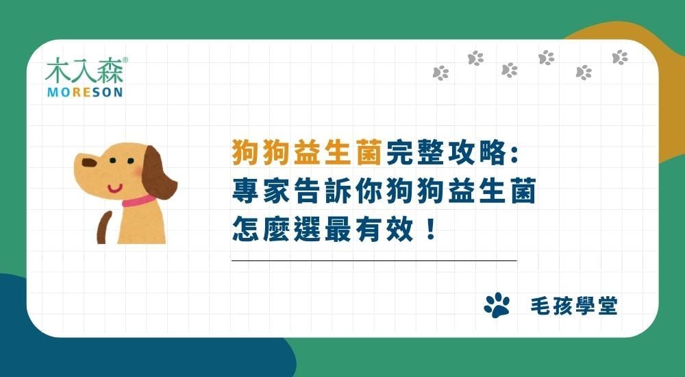 《2026狗狗益生菌完整攻略》專家告訴你狗狗益生菌怎麼選！