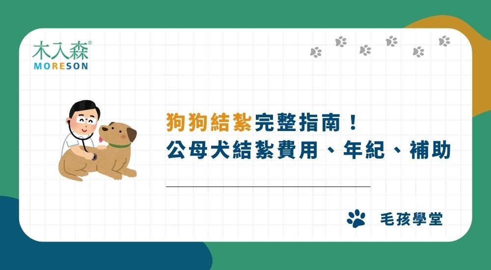 【2026最新】狗狗結紮完整指南：公母犬結紮費用、年紀、補助