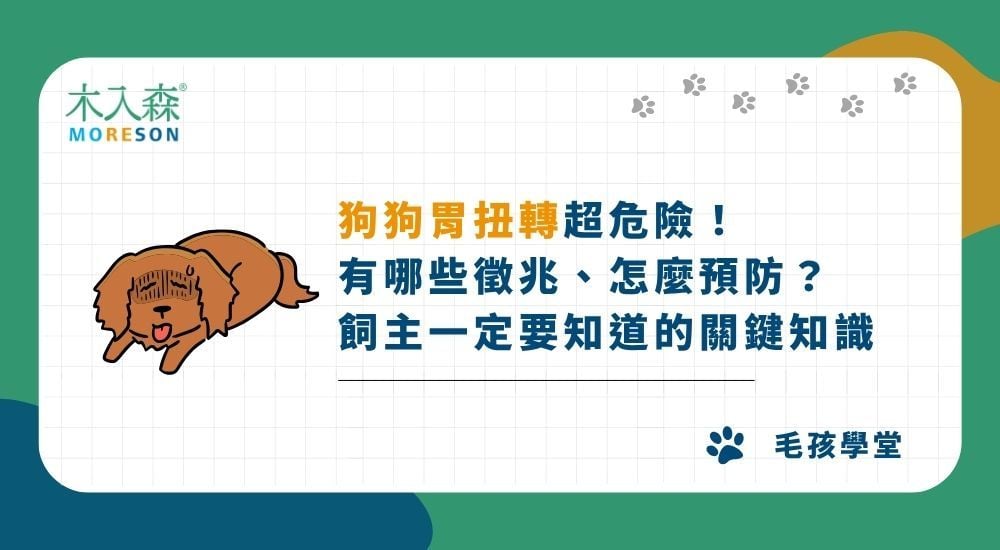 狗狗胃扭轉超危險！有哪些徵兆、怎麼預防？飼主一定要知道的關鍵知識