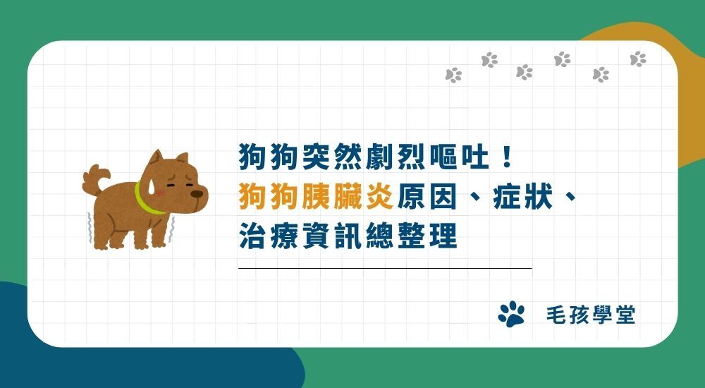 【狗狗胰臟炎照護指南】 狗狗胰臟炎原因、症狀、 治療資訊總整理