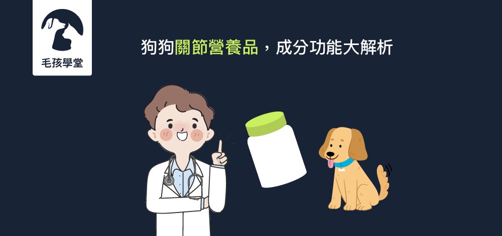 狗狗關節營養品，成分功能大解析
