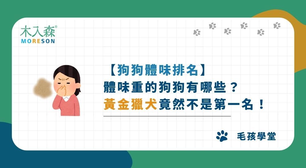 【狗狗體味排名】體味重的狗狗有哪些？黃金獵犬竟然不是第一名！
