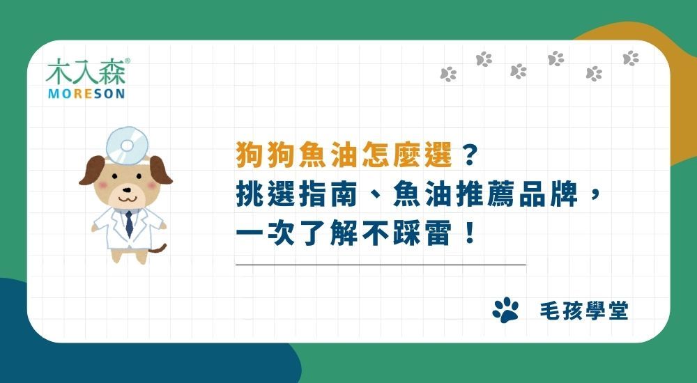 狗狗魚油怎麼選？五大挑選指南＋狗狗魚油推薦品牌，一次了解不踩雷！
