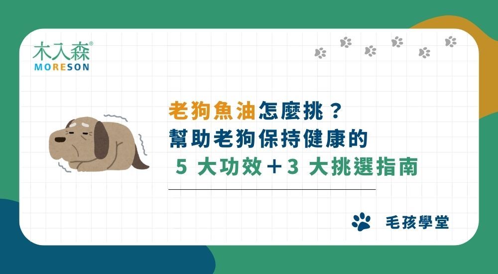 【2026】老狗魚油怎麼挑？幫助老狗保持健康的 5 大功效＋3 大挑選指南