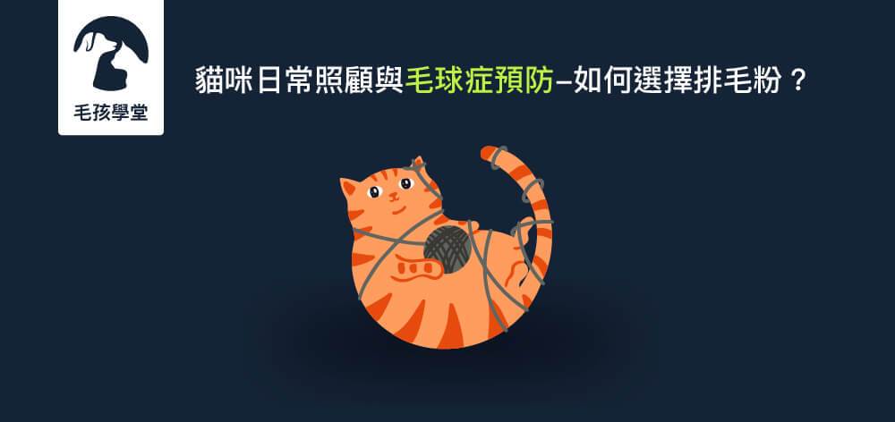 貓咪日常照顧與毛球症預防-如何選擇排毛粉？