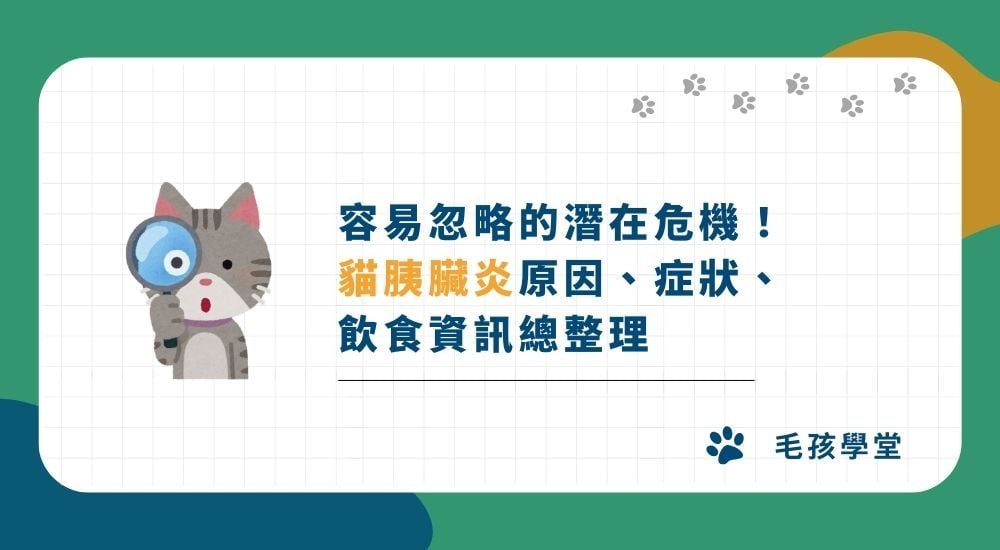 隱形殺手！貓咪胰臟炎會好嗎？原因、症狀、飲食資訊總整理