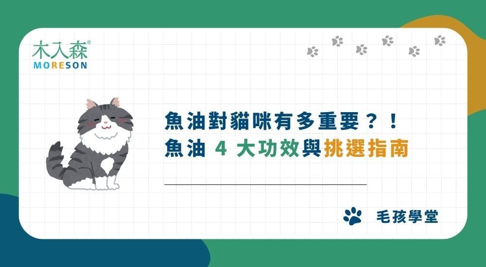 如何挑選適合貓魚油？貓咪魚油 4 大功效與挑選指南