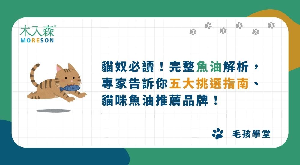 貓奴必讀！完整魚油解析，專家告訴你五大挑選指南、貓咪魚油推薦品牌！