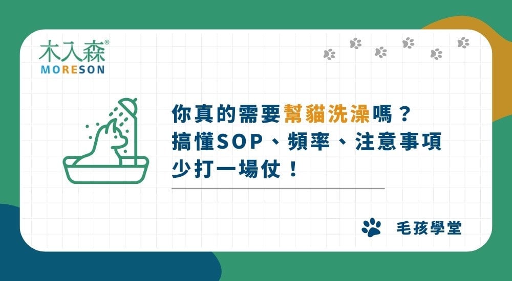 不一定要幫貓咪洗澡？搞懂貓洗澡SOP、頻率、注意事項！