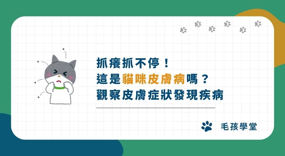 抓癢抓不停！ 這是貓咪皮膚病嗎？ 觀察皮膚症狀發現疾病