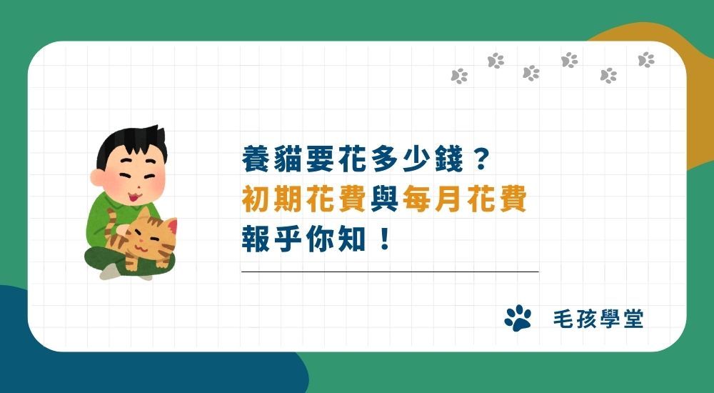養貓一個月花費？「初期養貓花費」與「每月養貓花費」報乎你知