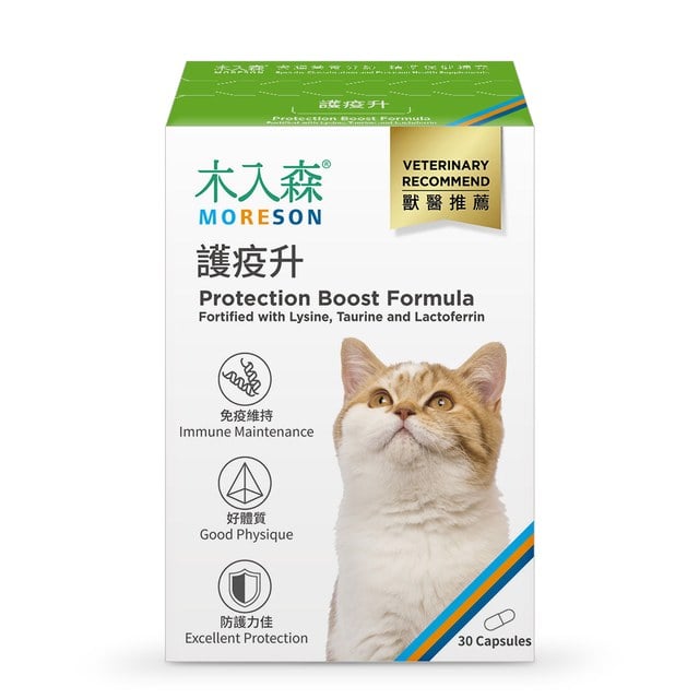 【加購】木入森 貓咪護疫升 30顆｜貓咪離胺酸