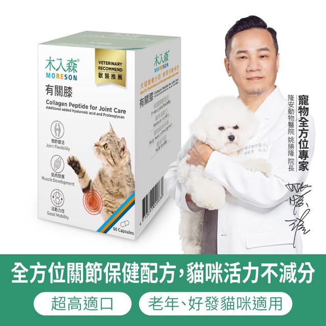 木入森 貓咪有關膝 60顆｜貓咪關節保健食品