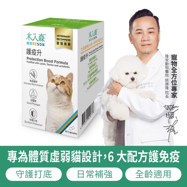 木入森 貓咪護疫升 60顆｜貓咪離胺酸