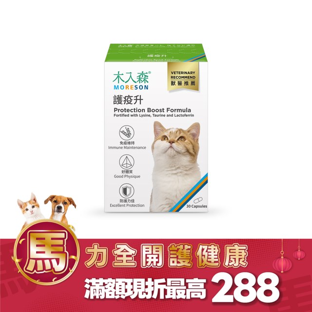 木入森 貓咪護疫升 30顆｜貓咪離胺酸