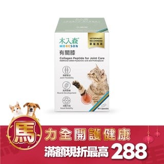 木入森 貓咪有關膝 60顆｜貓咪關節保健食品