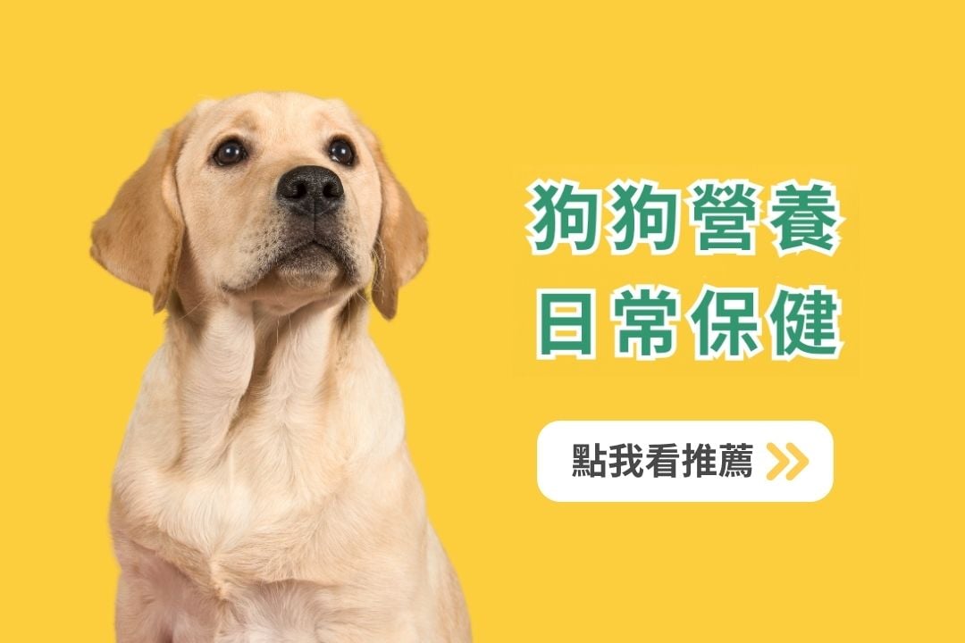 《寵物保健食品聖經》推薦必看！貓咪狗狗保健品到底該如何挑選？
