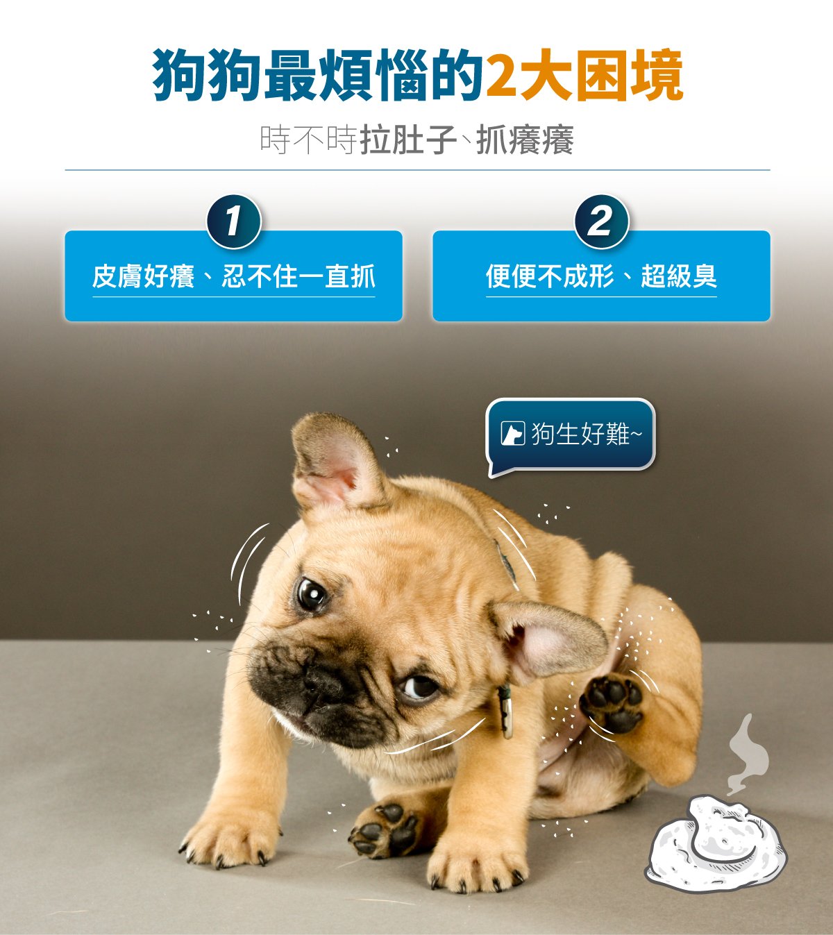 套組詳情頁_設計_犬膚立好+犬變不臭_1