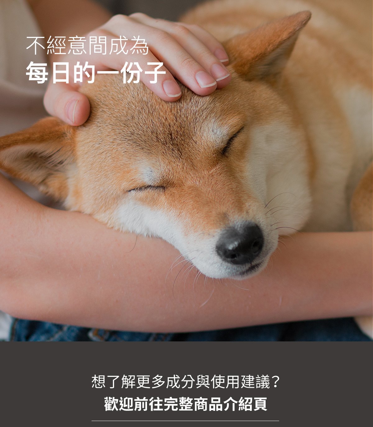 套組詳情頁_設計_犬膚立好+犬變不臭_10