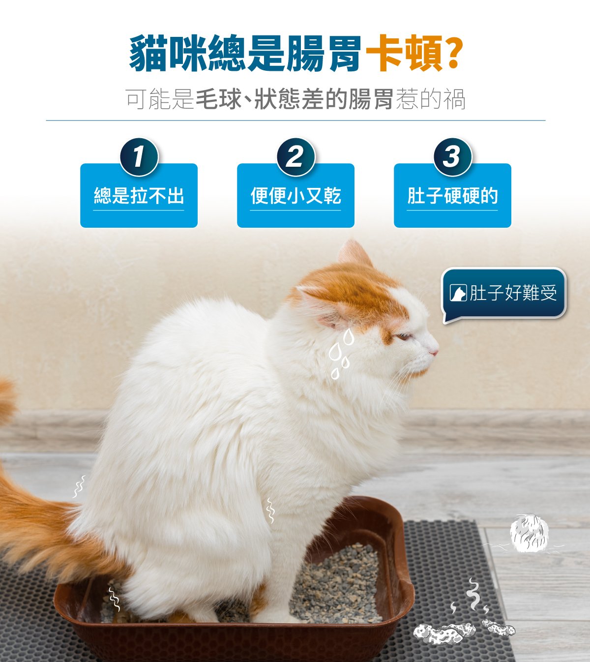 套組詳情頁_設計_貓排毛粉+貓活菌寶_1