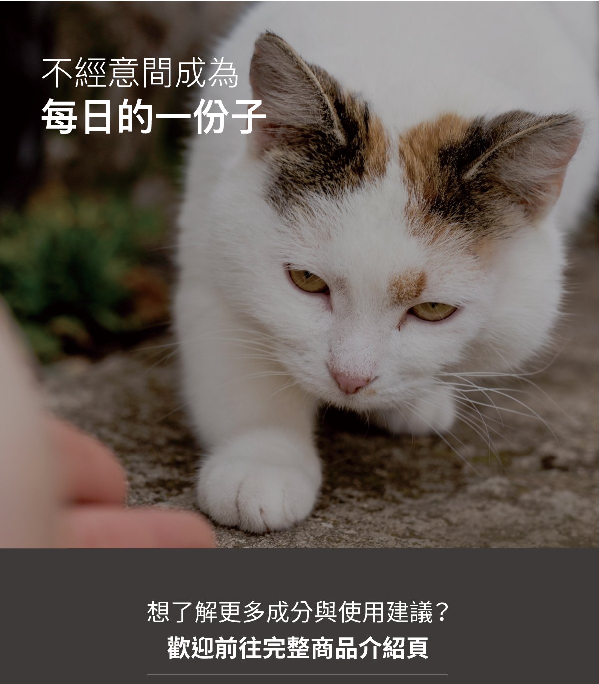 套組詳情頁_設計_貓護疫升+貓活菌寶_9