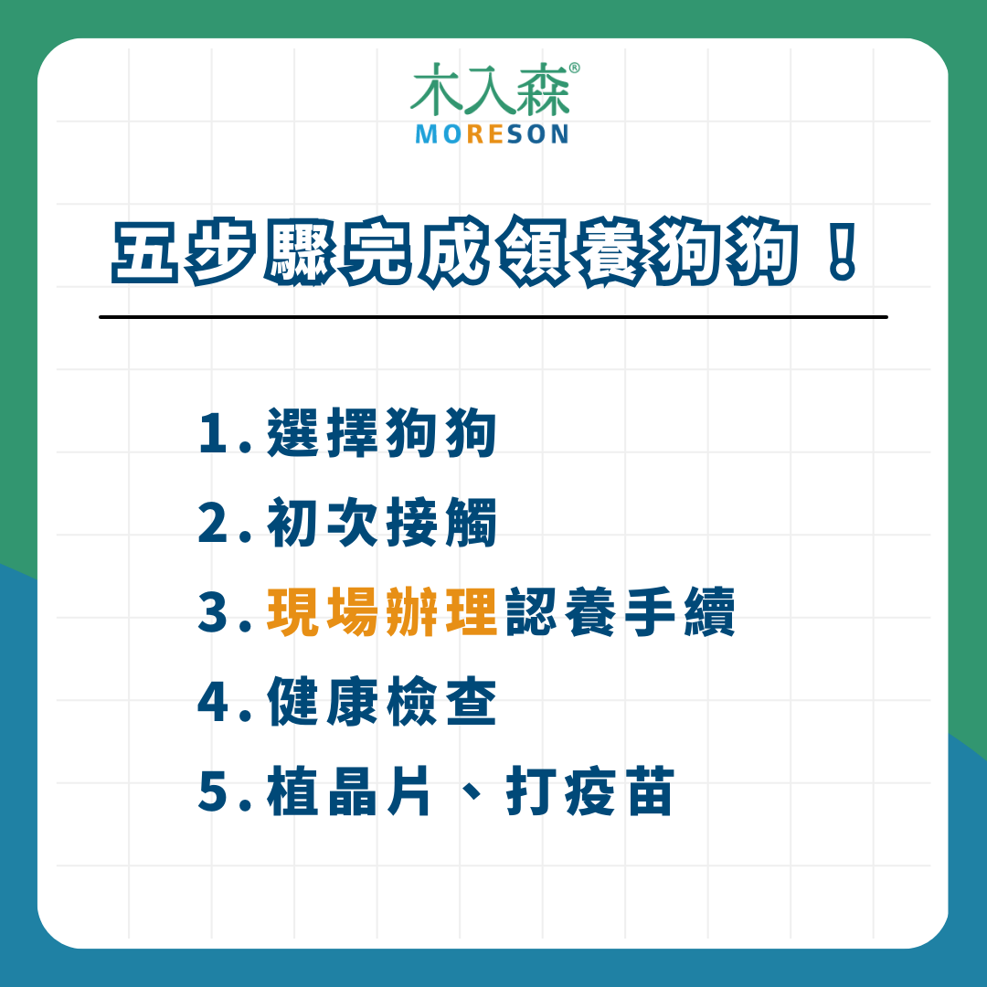 領養狗狗懶人包！ 最新領養條件、流程、平台資訊整理