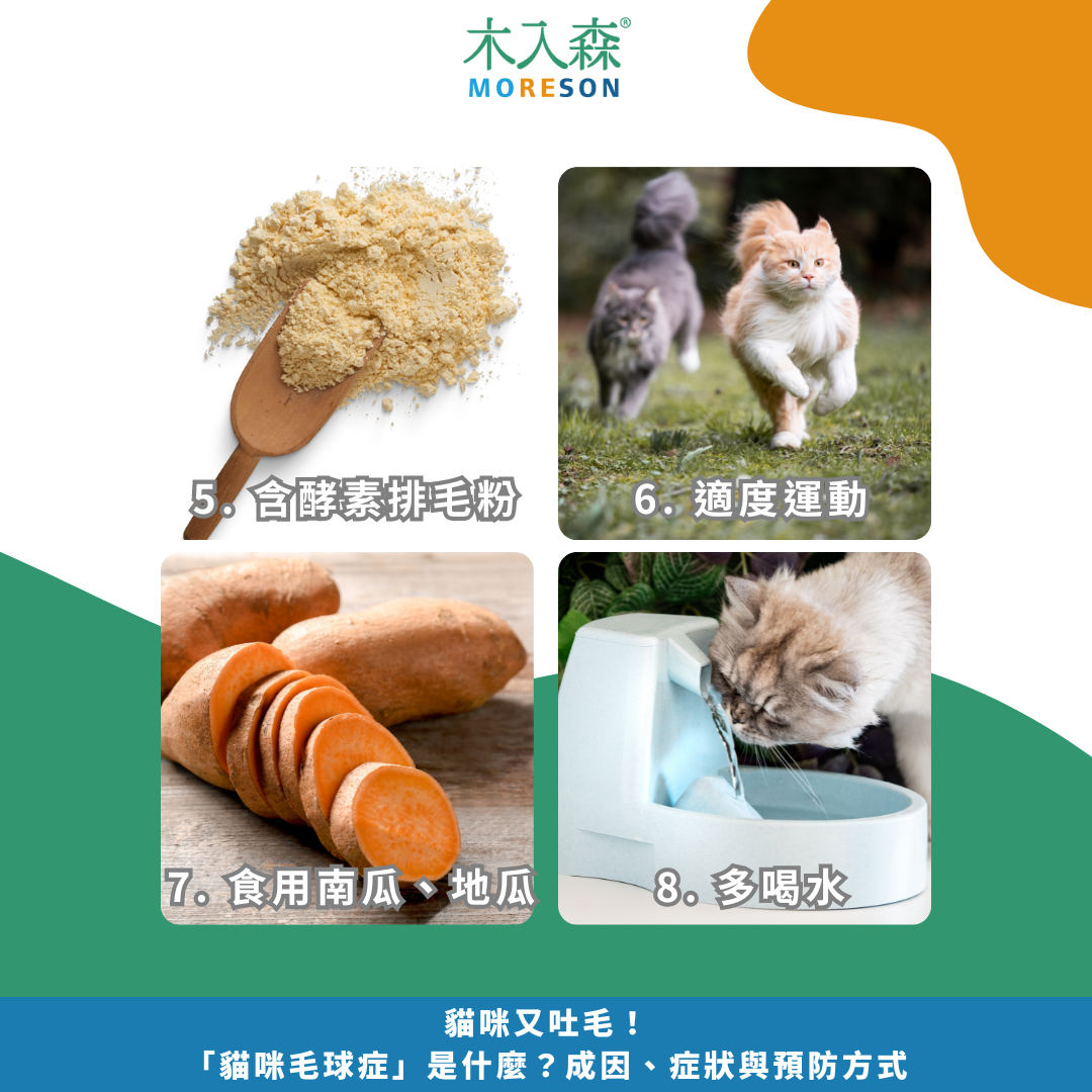 貓咪又吐毛！「貓咪毛球症」是什麼？成因、症狀與預防方式
