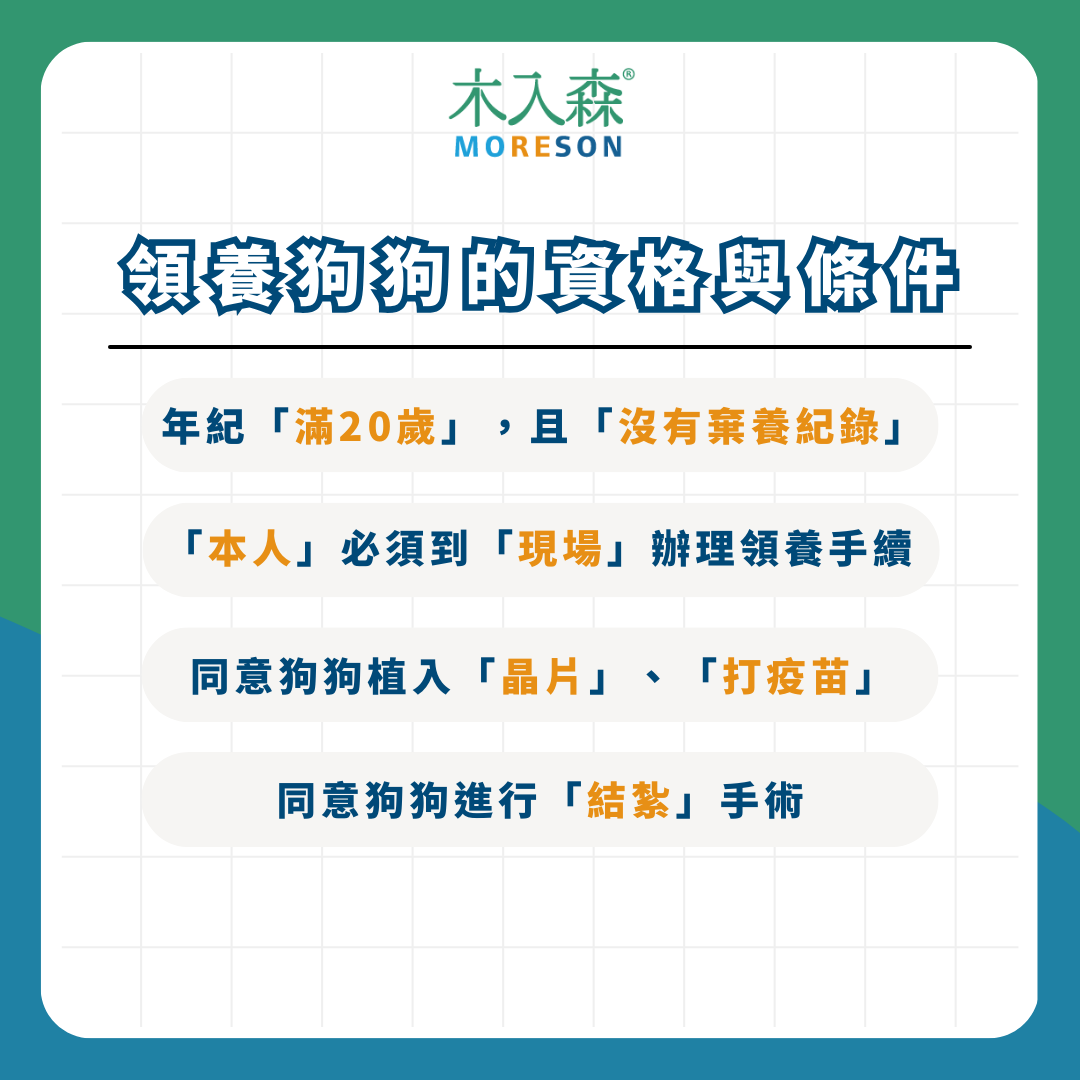 領養狗狗懶人包！ 最新領養條件、流程、平台資訊整理