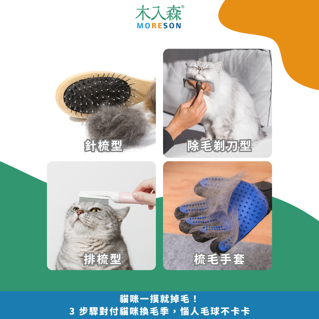 貓咪一摸就掉毛！3 步驟對付貓咪換毛季，惱人毛球不卡卡