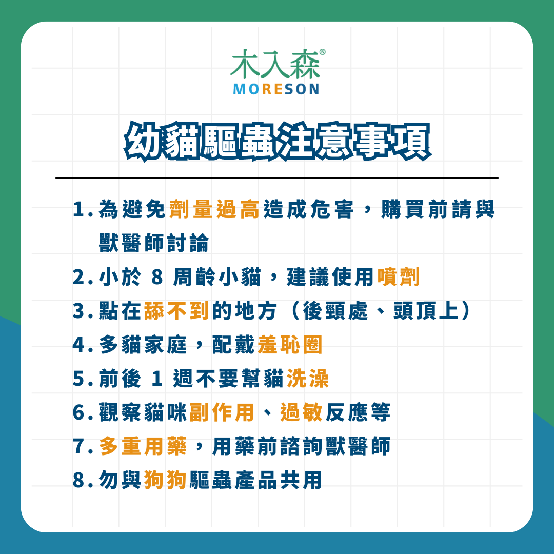 《幼貓照顧-教戰守則.5》醫療篇：疫苗、驅蟲、結紮，一次搞懂Knowhow！