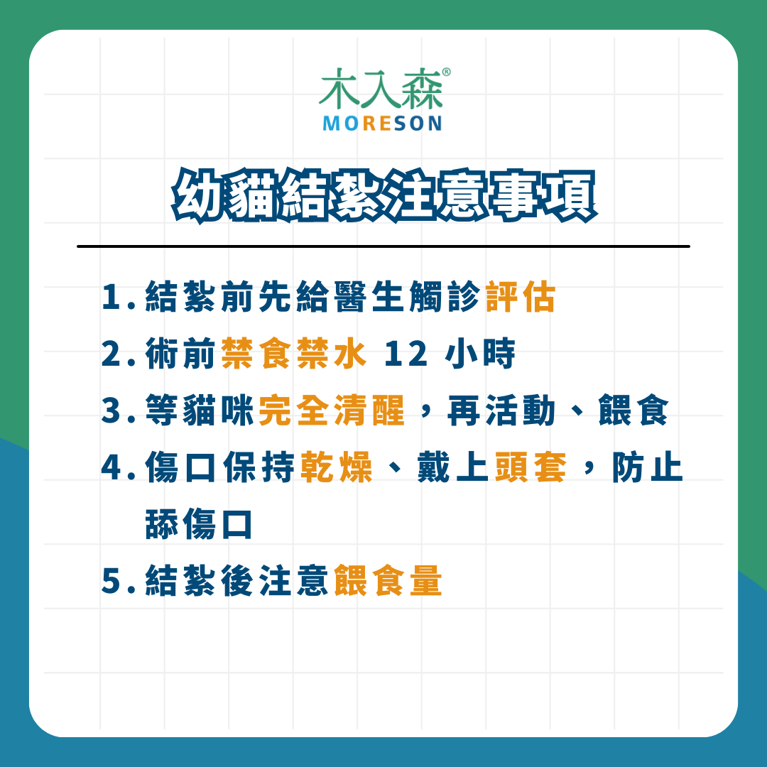 《幼貓照顧-教戰守則.5》醫療篇：疫苗、驅蟲、結紮，一次搞懂Knowhow！