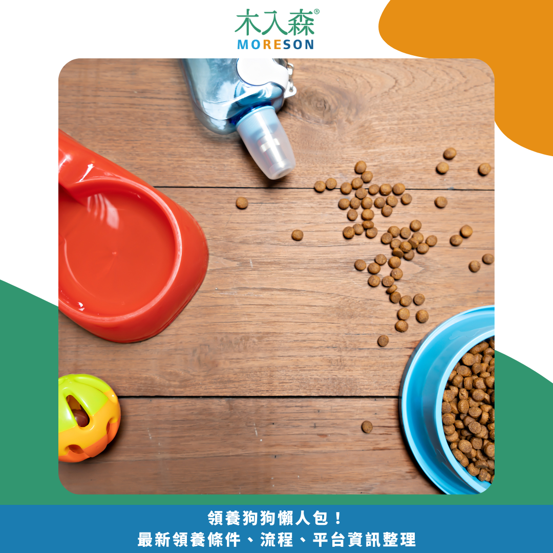 領養狗狗懶人包！ 最新領養條件、流程、平台資訊整理