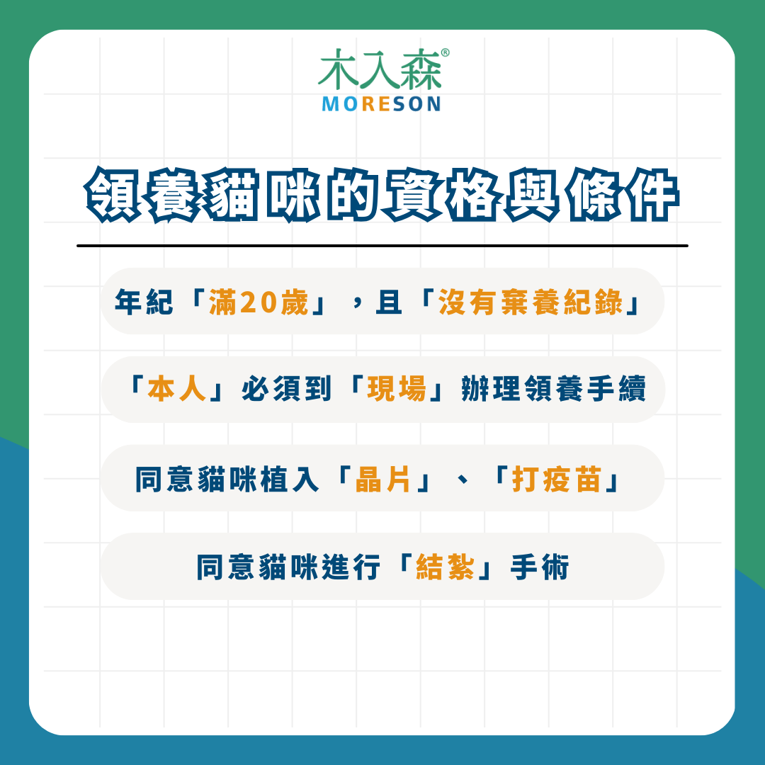 【領養貓咪懶人包】最新領養條件、流程、平台資訊整理