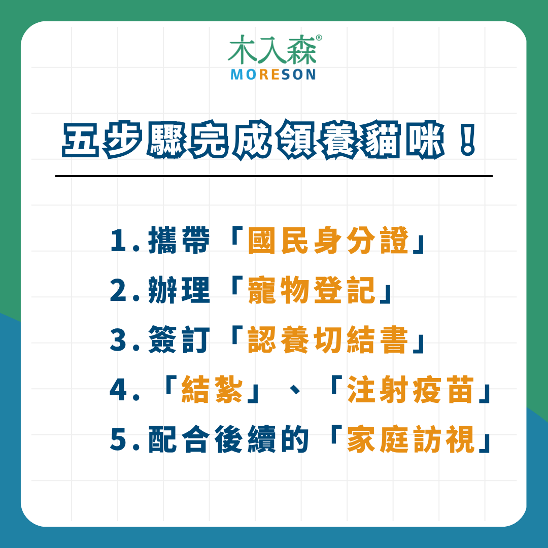 【領養貓咪懶人包】最新領養條件、流程、平台資訊整理