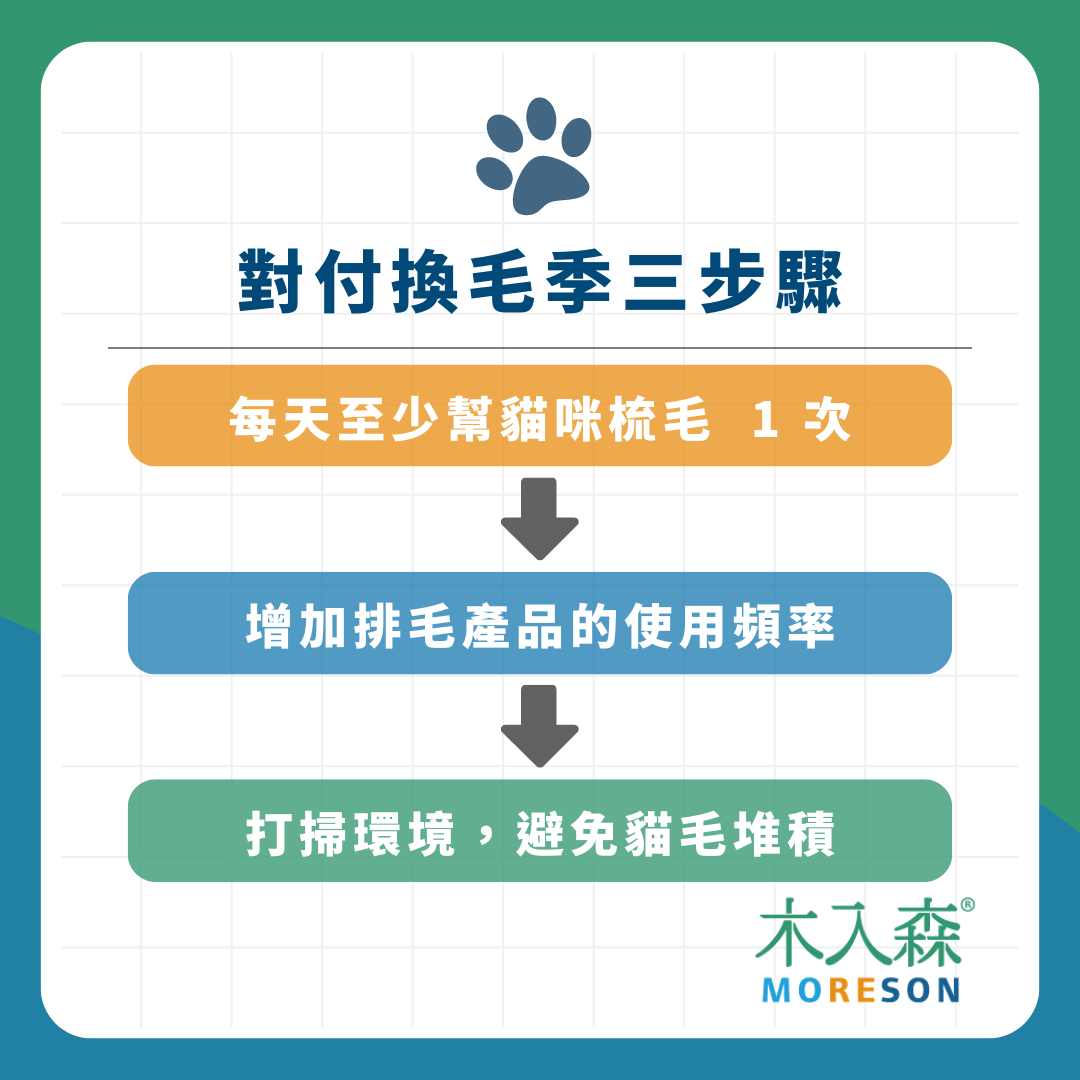 貓咪一摸就掉毛！3 步驟對付貓咪換毛季，預防毛球症
