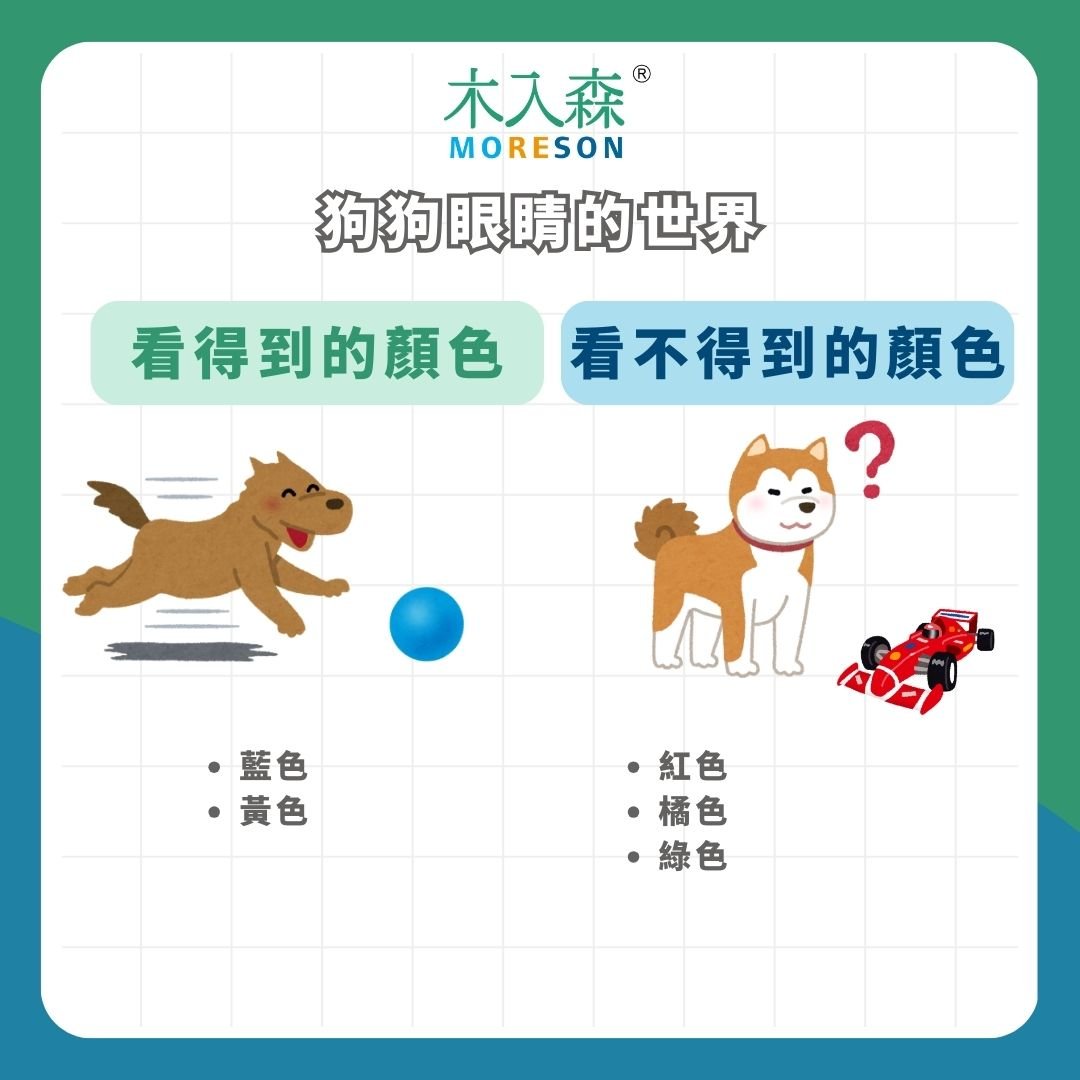 狗色盲