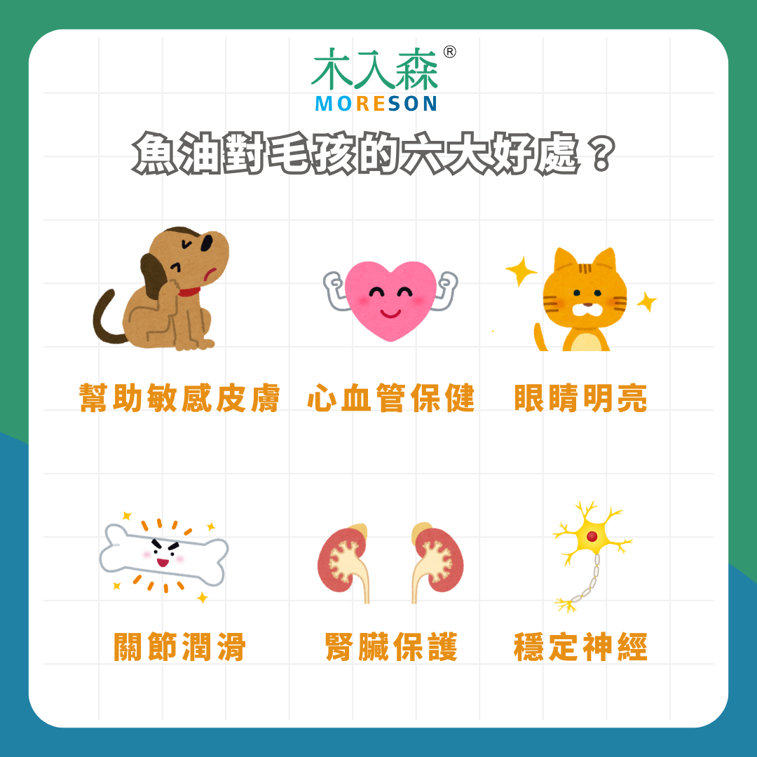 【2025】最新寵物魚油推薦：讓專家告訴你如何正確挑選寵物魚油！