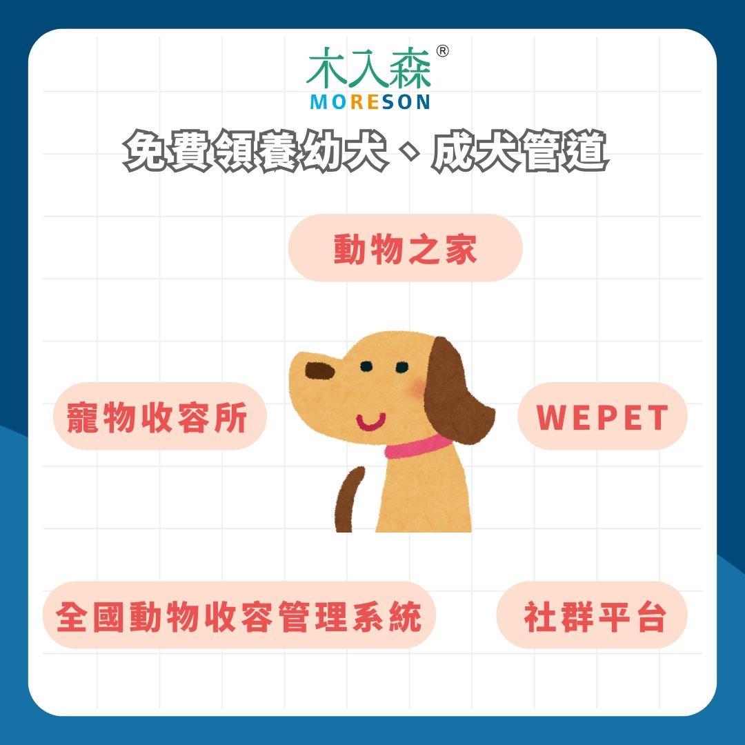 免費領養狗總整理｜要去哪領養狗？全台免費領養狗管道一次看