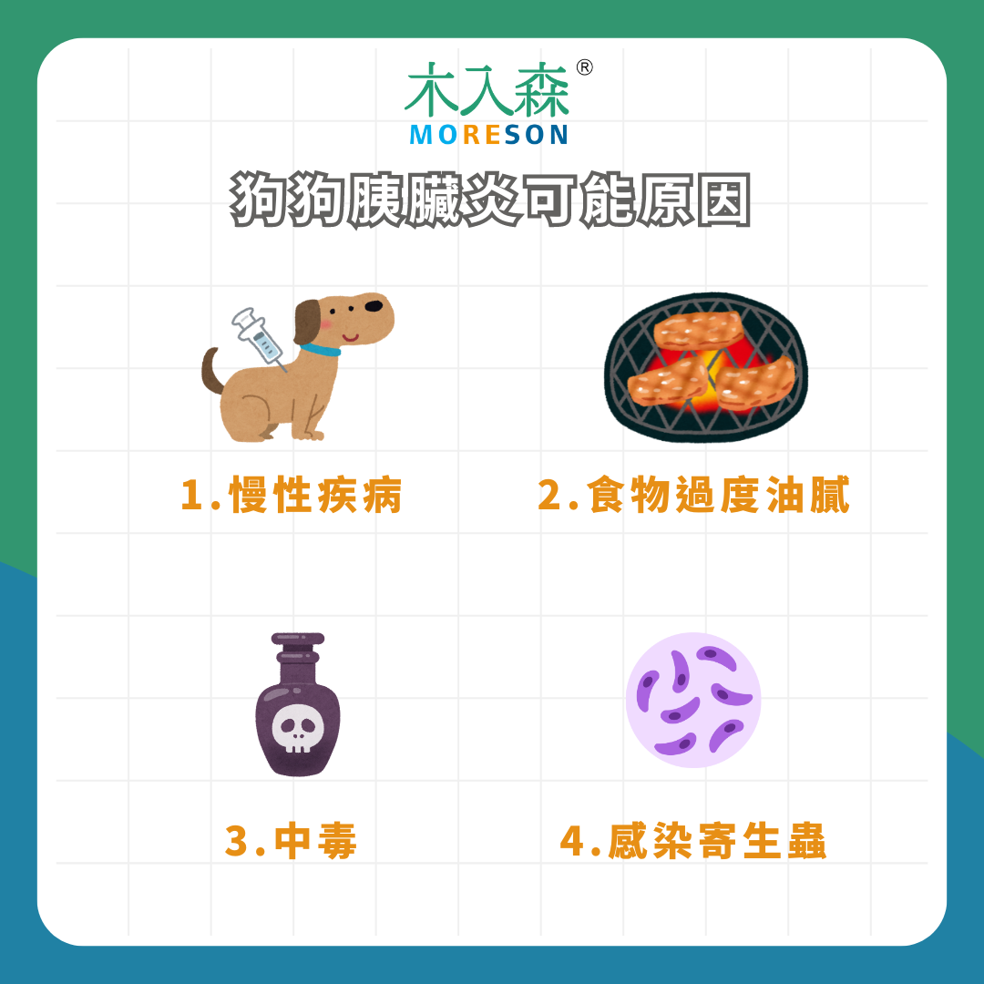 狗狗突然一直吐！ 狗狗胰臟炎原因、症狀、 治療資訊總整理