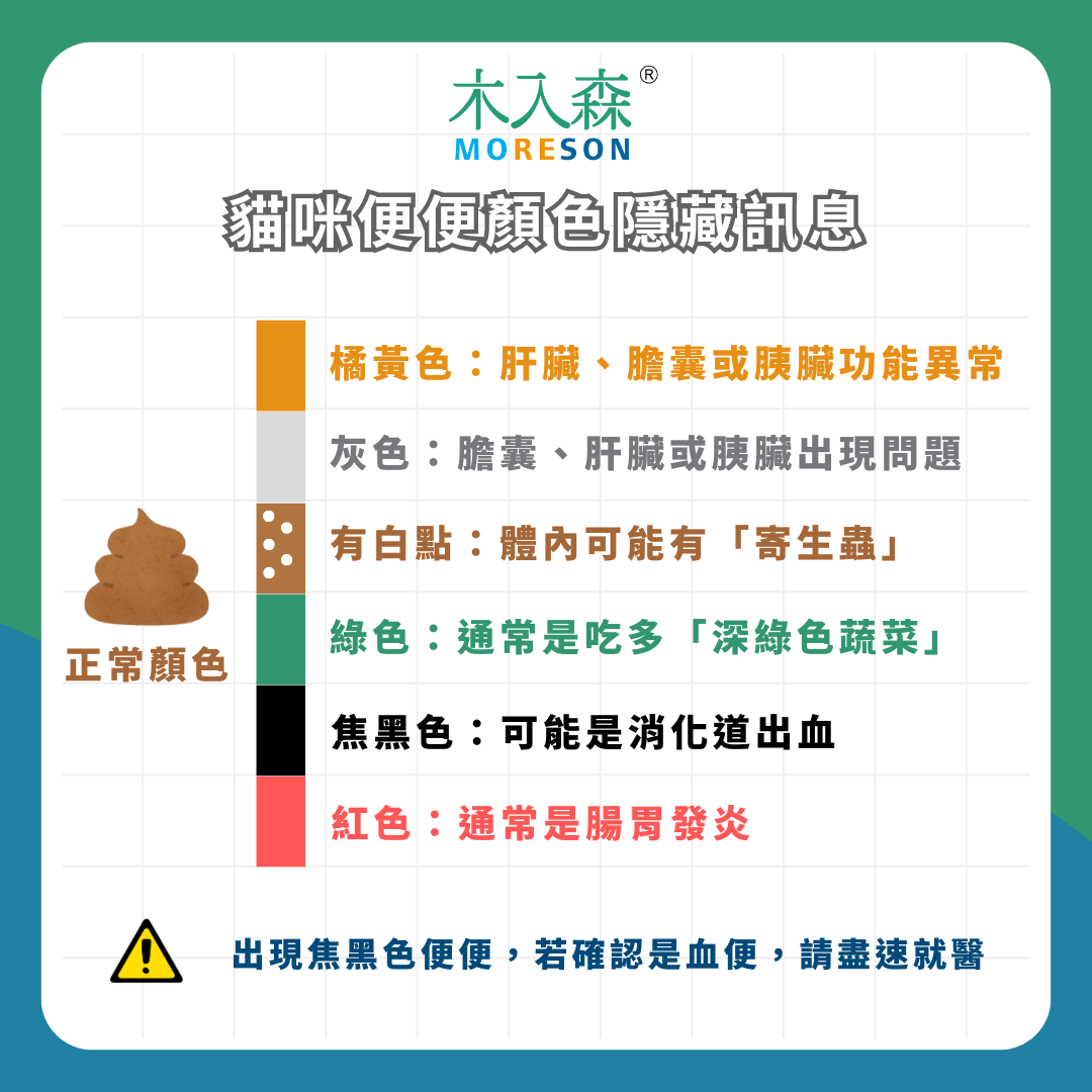 貓咪大便好臭！ 貓咪便便顏色、味道 隱藏著什麼訊息？