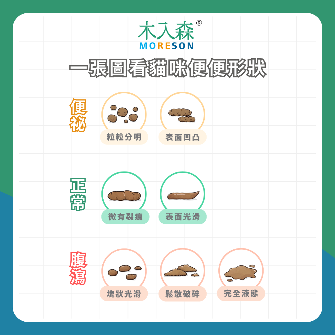 貓咪大便好臭！ 貓咪便便顏色、味道 隱藏著什麼訊息？