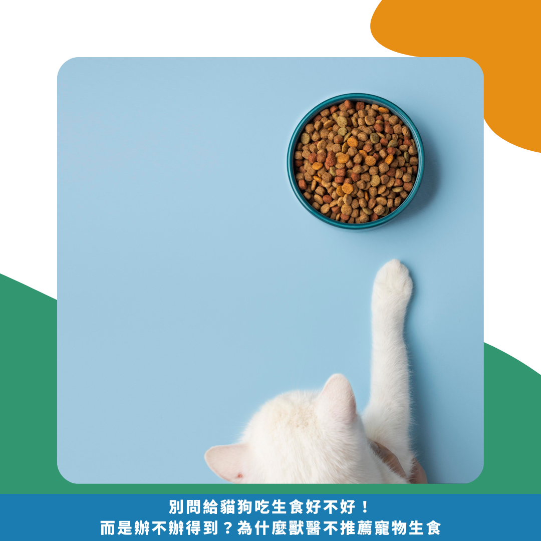 別問給貓狗吃生食好不好！而是辦不辦得到？為什麼獸醫不推薦寵物生食