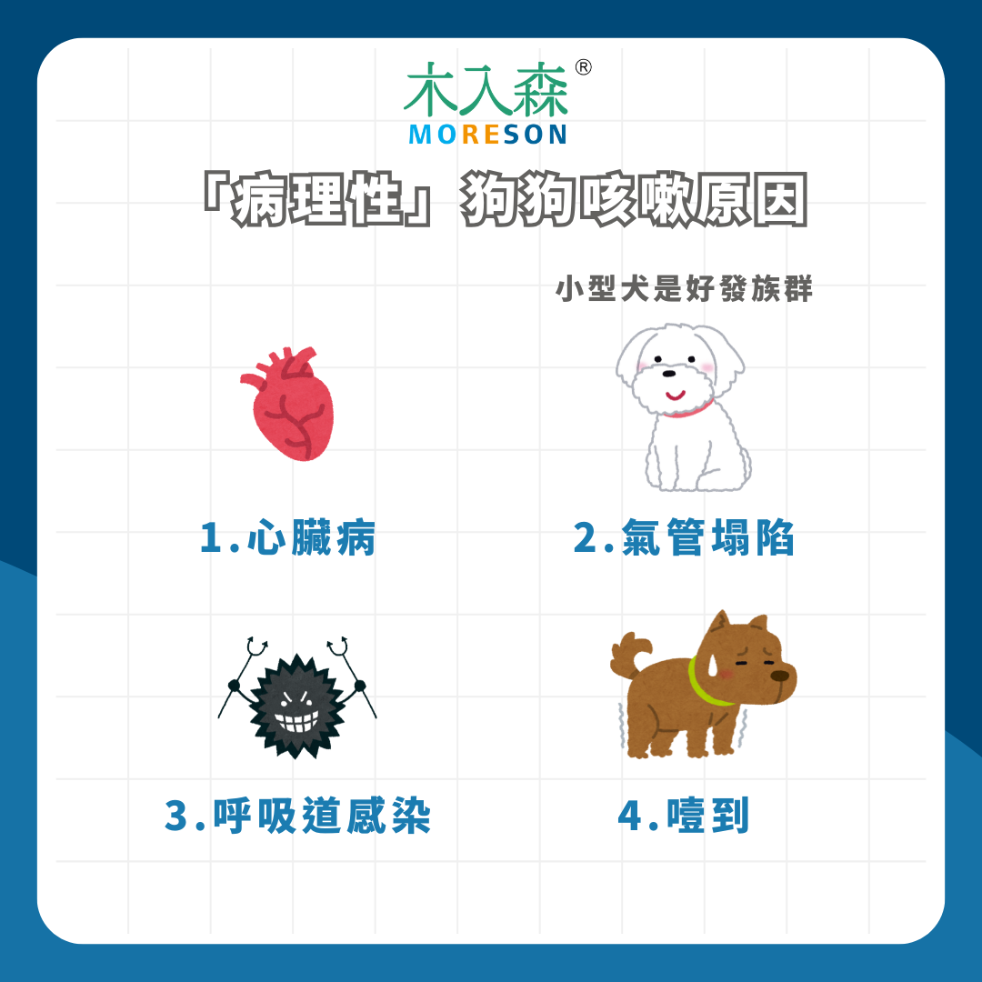 狗狗咳嗽咳不停怎麼辦?七大原因一次看,可能是心臟病前兆! 狗狗咳嗽咳不停怎麼辦?七大原因一次看,可能是心臟病前兆!