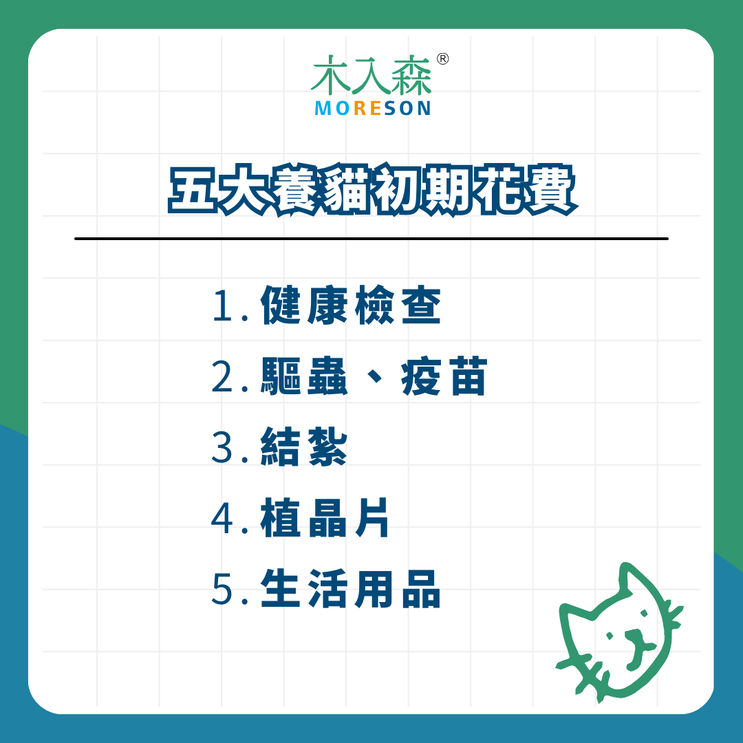 養貓&ne;吃泡麵度日！養貓要花多少錢？「初期花費」與「每月花費」報乎你知