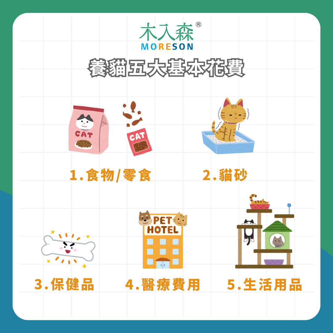 養貓&ne;吃泡麵度日！養貓要花多少錢？「初期花費」與「每月花費」報乎你知