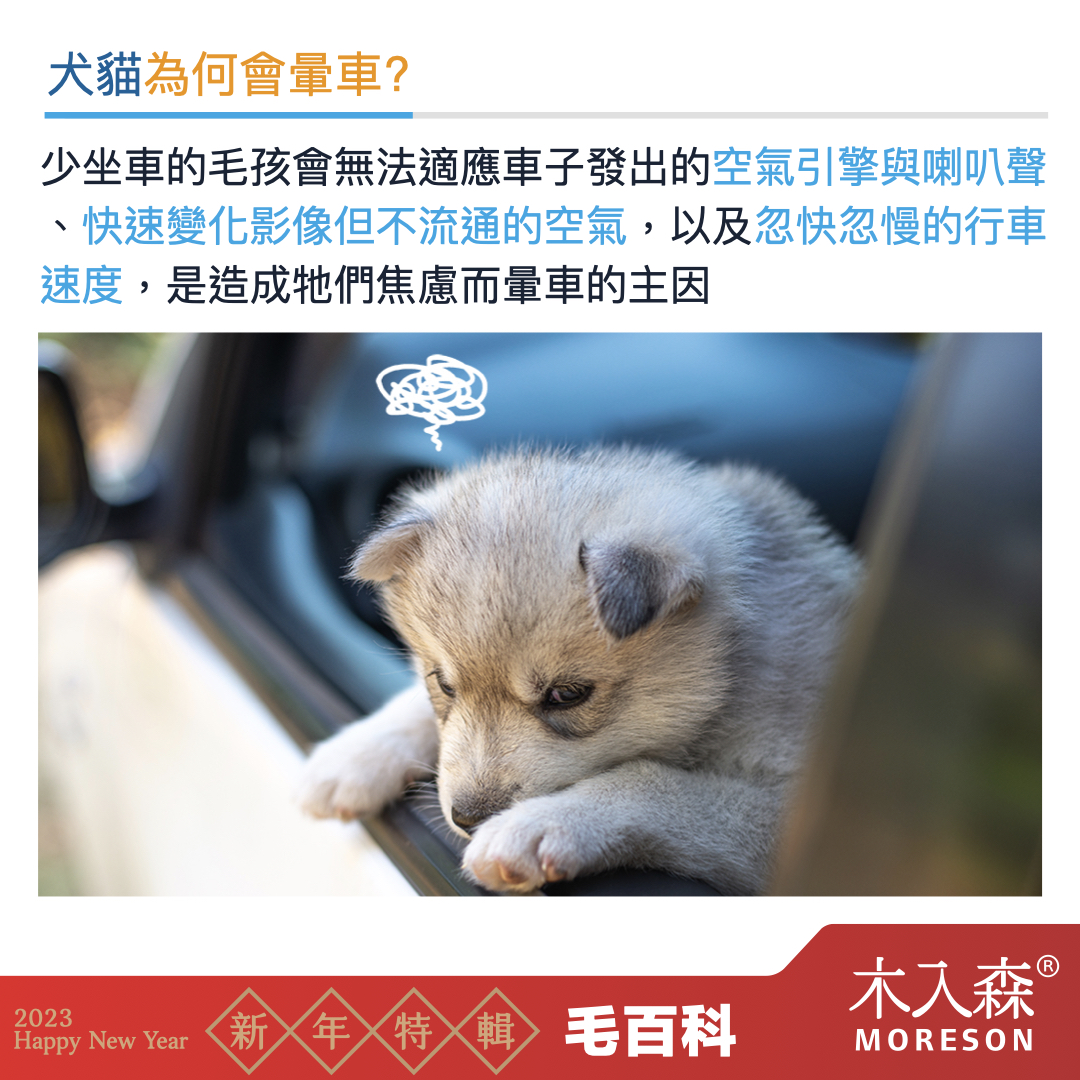 貓咪狗狗也會暈車嗎
